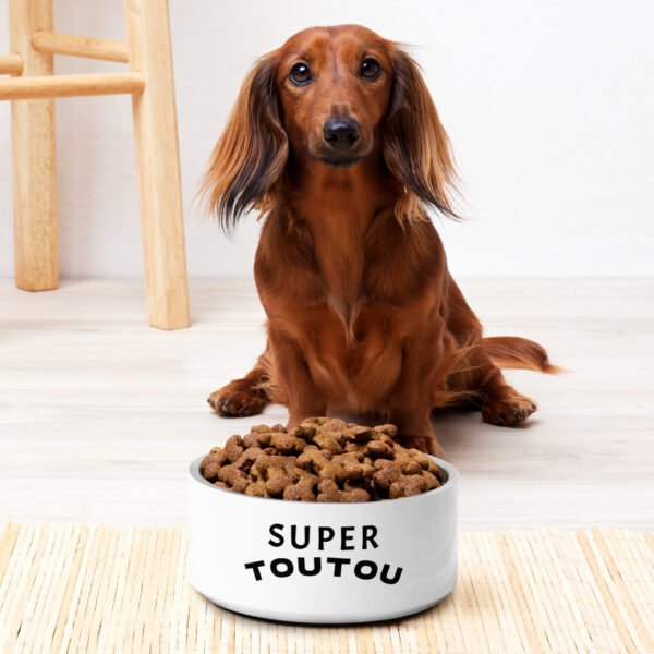 Gamelle "Super Toutou"